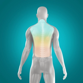 Strefy działania masażu HoMedics SBM-75H – obszary pleców i szyi objęte masażem shiatsu.